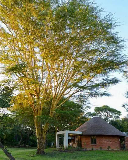 Traditional hut architecture with modern twist in Lilayi lodge. Design by Zimbabwean architects